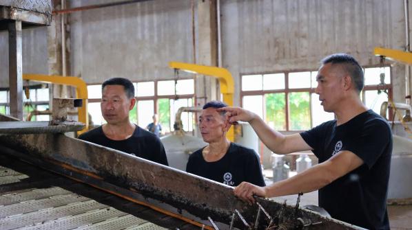 今良造釀酒:匠心鑄品質(zhì) 創(chuàng)新促發(fā)展 ——記今良造釀酒先進班組醬酒車間7班 今良造釀酒:匠心鑄品質(zhì) 創(chuàng)新促發(fā)展 ——記今良造釀酒先進班組醬酒車間7班